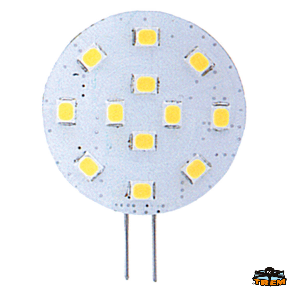 Immagine Lampadine a 12 led SMD